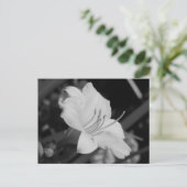 Gelbe Tageslilie Postkarte (Stehend Vorderseite)