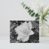 Gelbe Tageslilie Postkarte (Stehend Vorderseite)