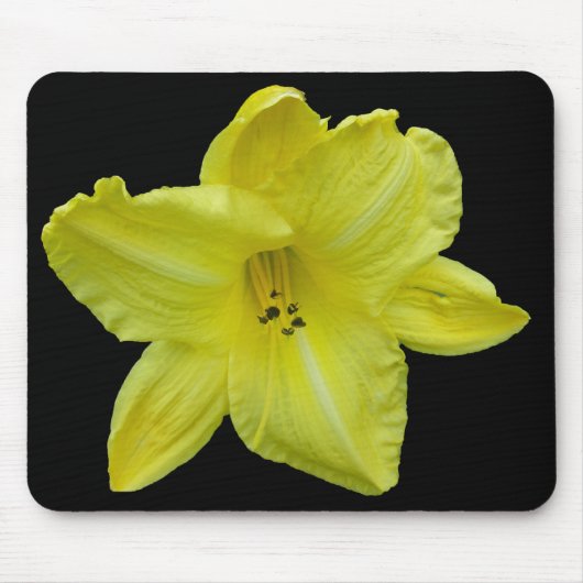 Gelbe Taglilie-Koordinationselemente Mousepad (Vorne)