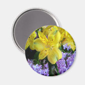 Gelbe Taglilien und Lila Lilac-Blume Magnet (Vorderseite/Rückseite)