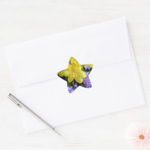 Gelbe Taglilien und Lila Lilac-Blume Stern-Aufkleber