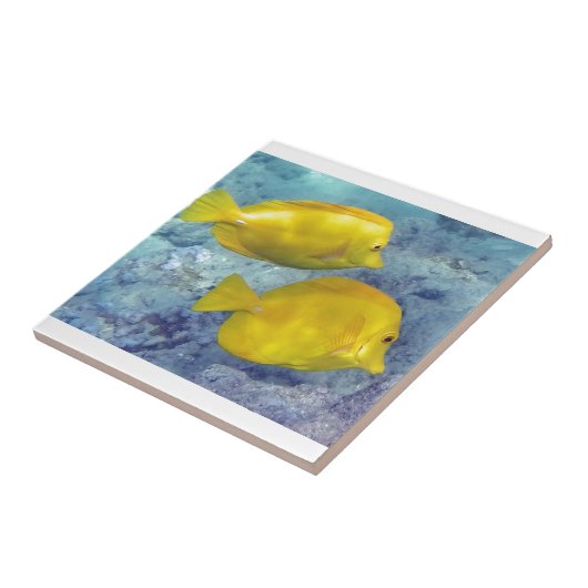 Gelbe Tangs Fliese (Seite)