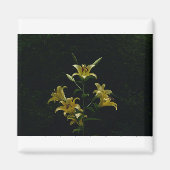 Gelbe Taylilys, Tom Wurl Magnet (Vorne)