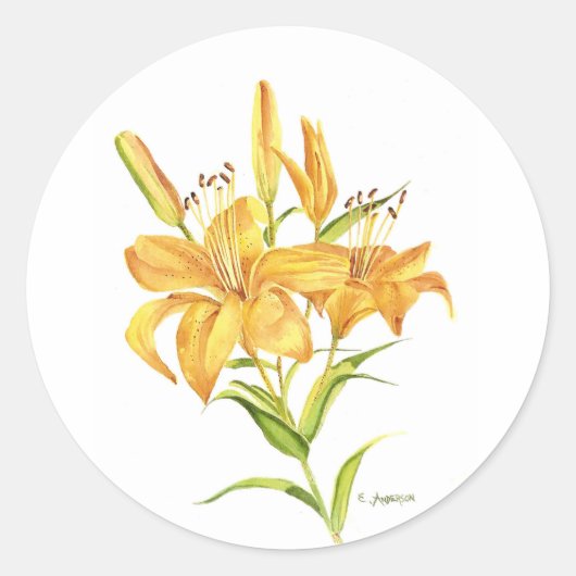 Gelbe Tigerlilie Runder Aufkleber (Vorderseite)