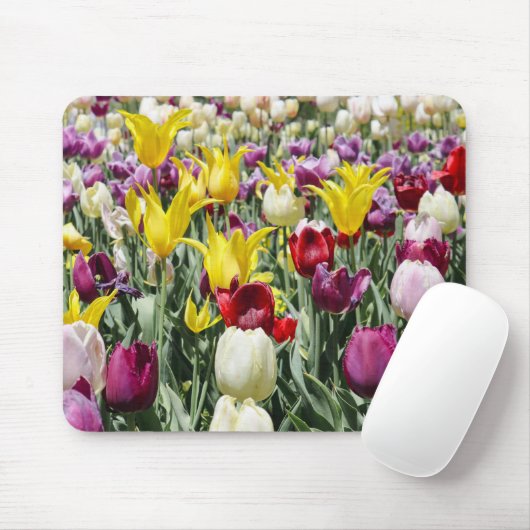 Gelbe Touchs Mousepad (Mit Mouse)