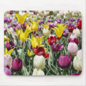 Gelbe Touchs Mousepad (Vorne)
