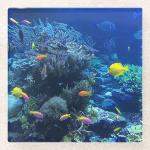 Gelbe tropische Fische Glasuntersetzer
