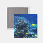 Gelbe tropische Fische Magnet (Vorderseite/Rückseite)