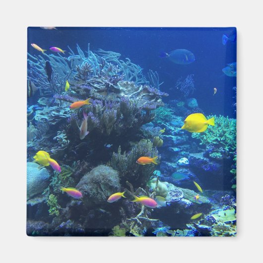 Gelbe tropische Fische Magnet (Vorne)