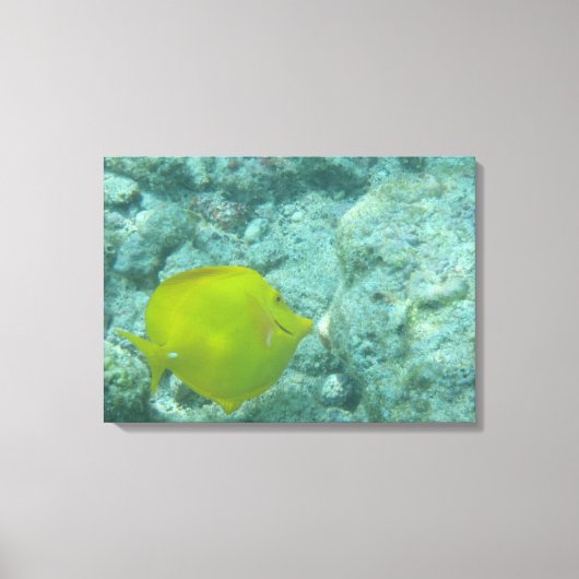 Gelbe tropische Leinwand (Vorderseite)