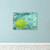 Gelbe tropische Leinwand (Insitu (Holzboden))