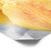 Gelbe Tulip-Blume auf blauem Himmel 8x10 Fotodruck (Ecke)