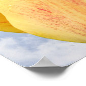 Gelbe Tulip-Blume auf blauem Himmel Poster (Ecke)