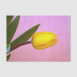 Gelbe Tulip, grüne Blätter, rosa Seidenpapier