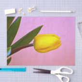 Gelbe Tulip, grüne Blätter, rosa Seidenpapier (Handwerk)