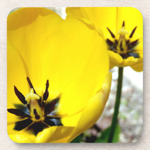 Gelbe Tulip-harte Plastik-Untersetzer Untersetzer