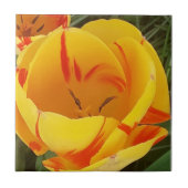 Gelbe Tulip Keramik Tile Fliese (Vorderseite)