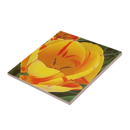 Gelbe Tulip Keramik Tile Fliese (Seite)