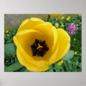 Gelbe Tulip Macro Print Poster (Vorne)