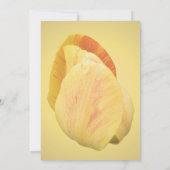 Gelbe Tulip Petals florales Party Einladung (Rückseite)
