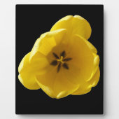 Gelbe Tulip Plaque Fotoplatte (Vorderseite)