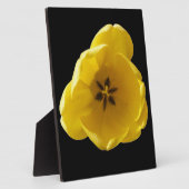 Gelbe Tulip Plaque Fotoplatte (Seite)