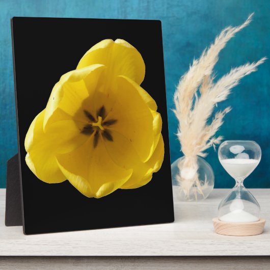Gelbe Tulip Plaque Fotoplatte (Seite)