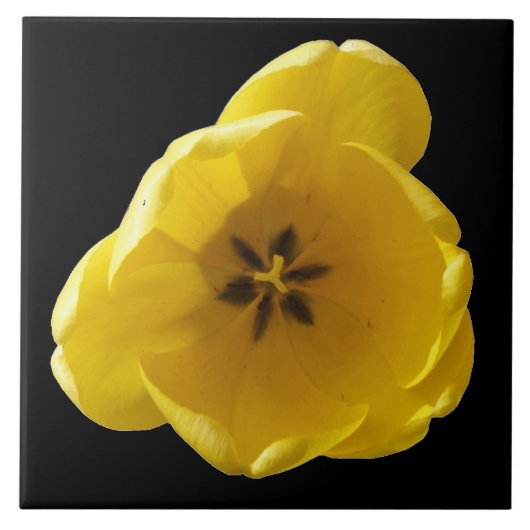 Gelbe Tulip Tile Fliese (Vorderseite)