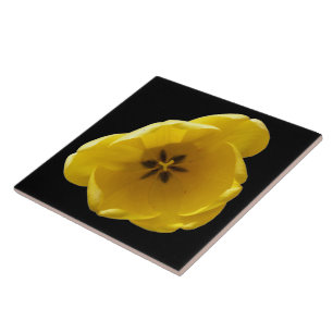 Gelbe Tulip Tile Fliese
