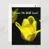 Gelbe Tulip - von mir mit Liebe Postkarte (Vorne/Hinten)