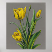 Gelbe Tulip Wasserfarben-Blume Poster (Vorne)