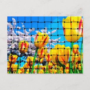 Gelbe Tulip Weave Postkarte