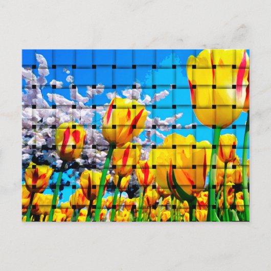 Gelbe Tulip Weave Postkarte (Vorderseite)