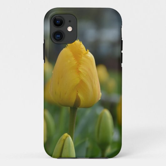 Gelbe Tulipen im Feld Case-Mate iPhone Hülle (Rückseite)