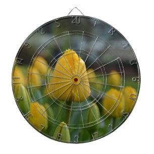 Gelbe Tulipen im Feld Dartscheibe