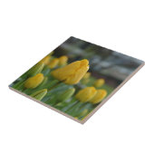 Gelbe Tulipen im Feld Fliese (Seite)