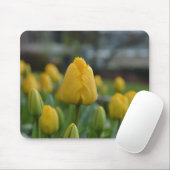 Gelbe Tulipen im Feld Mousepad (Mit Mouse)
