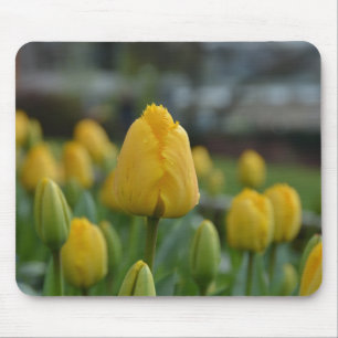 Gelbe Tulipen im Feld Mousepad