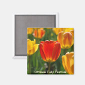 Gelbe Tulipen, Orangefarbene Tulpen Magnet (Vorderseite/Rückseite)