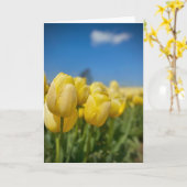 Gelbe Tulipkarte Karte (Gelbe Blume)