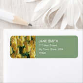 Gelbe Tulips (Insitu)