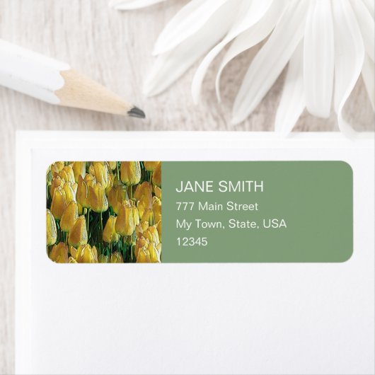 Gelbe Tulips (Insitu)