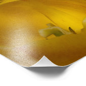 Gelbe Tulips 20" x 16" Foto drucken (Ecke)