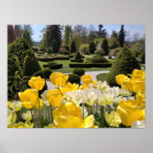 Gelbe Tulips aus Arboretum Volcji Potok Slowenien Poster (Vorne)