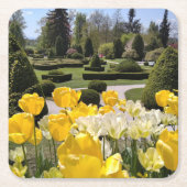 Gelbe Tulips aus Arboretum Volcji Potok Slowenien Rechteckiger Pappuntersetzer (Vorderseite)