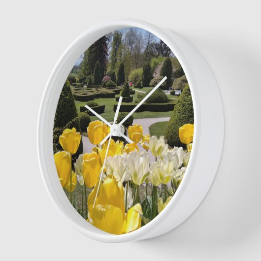 Gelbe Tulips aus Arboretum Volcji Potok Slowenien Uhr (Winkel)