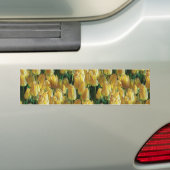Gelbe Tulips Autoaufkleber (Auf Auto)