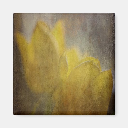 Gelbe Tulips Blume Rustikale Kunst Magnet (Vorne)