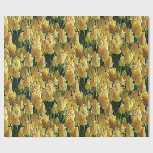Gelbe Tulips Geschenkpapier (Flach)