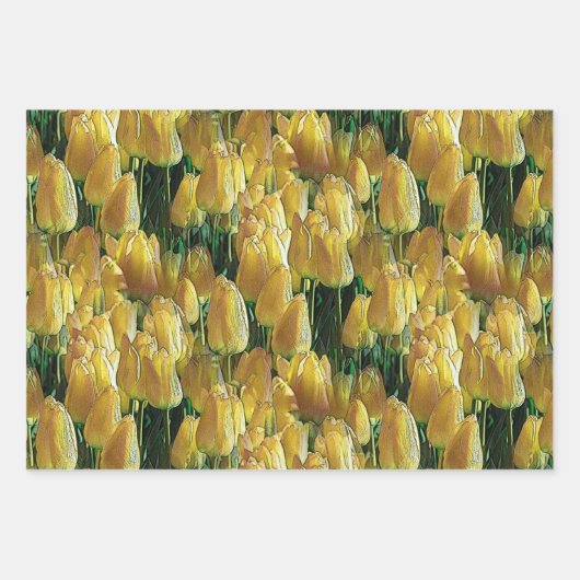 Gelbe Tulips Geschenkpapier Set (Vorderseite 3)